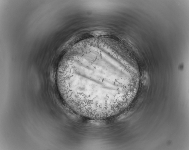 X0000089880763200707262209