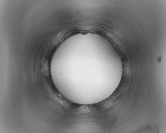 X0000089880764200707262209