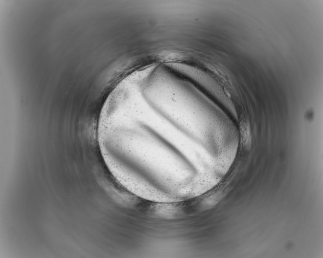 X0000089880766200707262209