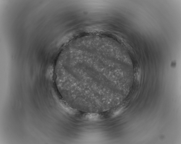 X0000089880767200707262209