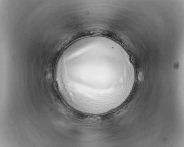 X0000089880771200707262209