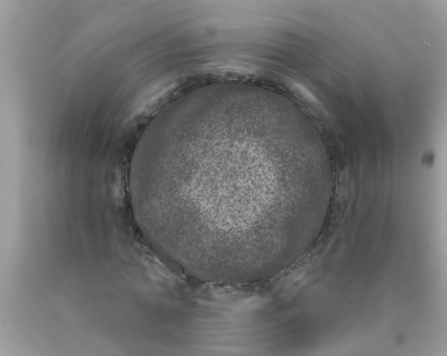 X0000089880774200707262209