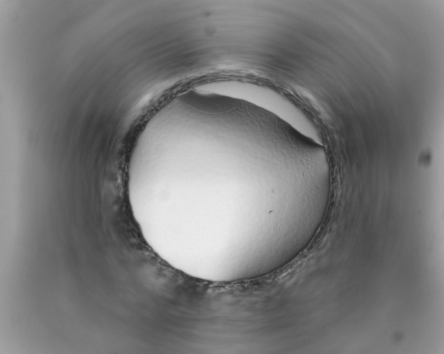 X0000089880776200707262209