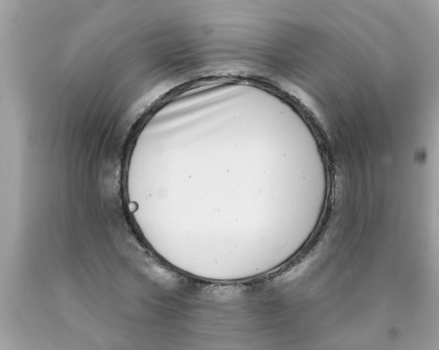 X0000089880778200707262209