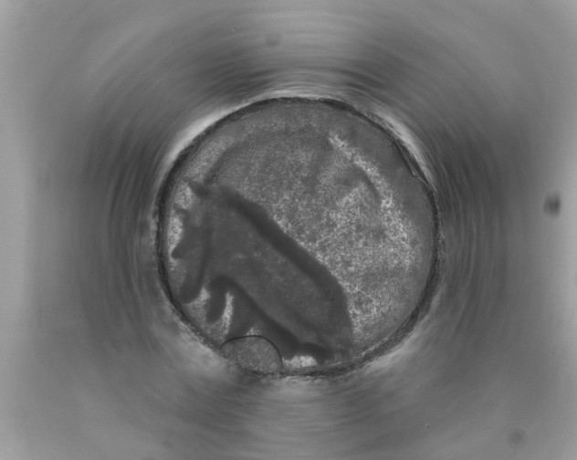 X0000089880779200707262209