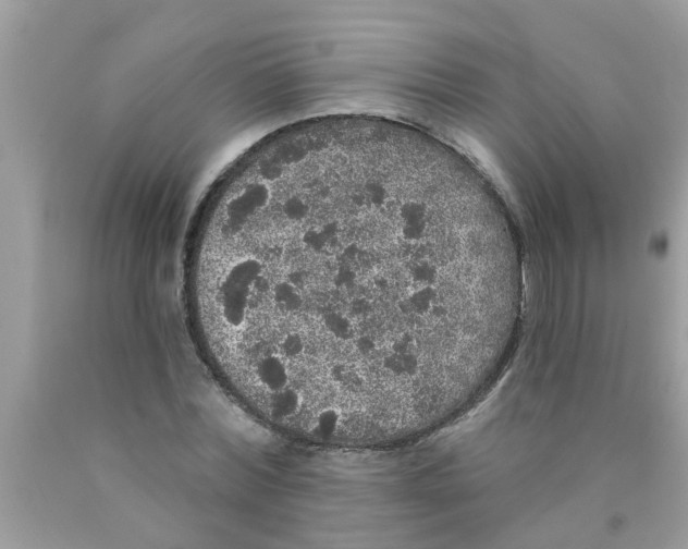 X0000089880780200707262209