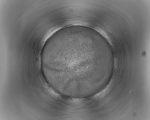 X0000089880782200707262209