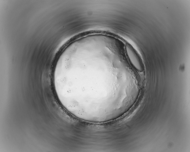 X0000089880783200707262208