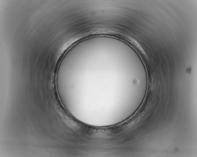 X0000089880786200707262208