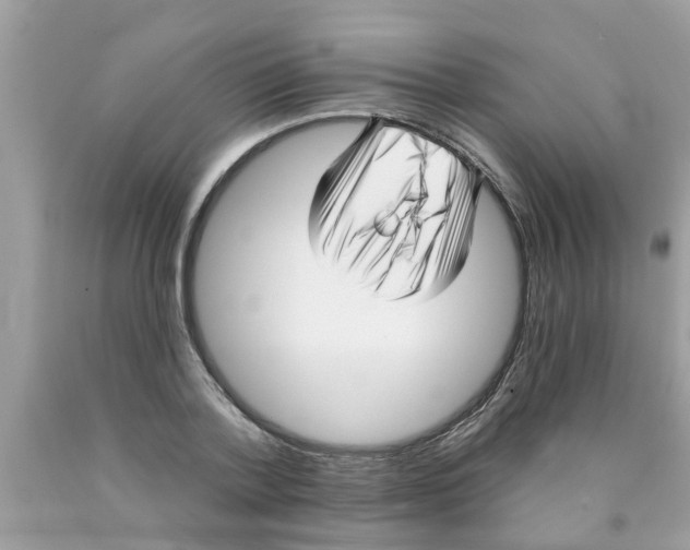 X0000089880788200707262208