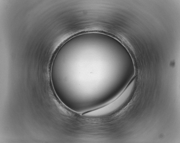 X0000089880789200707262208