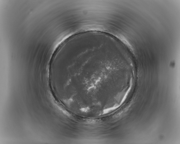 X0000089880790200707262208