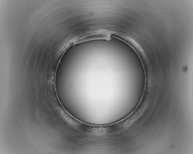 X0000089880793200707262208