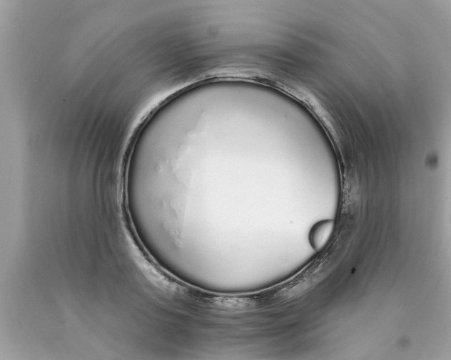 X0000089880795200707262208