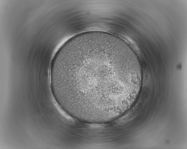 X0000089880796200707262208