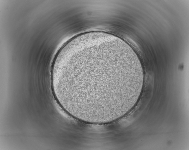 X0000089880800200707262208