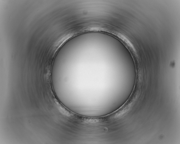 X0000089880801200707262208