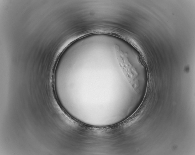 X0000089880803200707262208