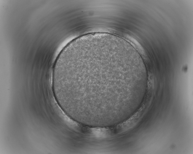 X0000089880804200707262208