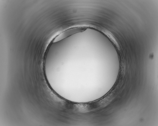 X0000089880805200707262208