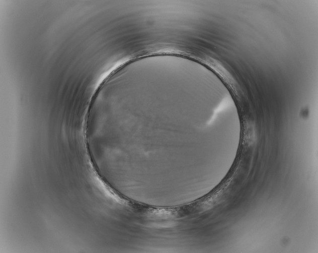 X0000089880806200707262208