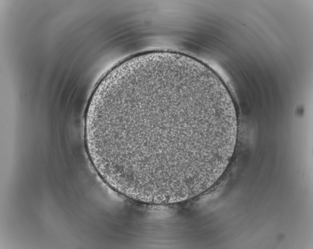 X0000089880807200707262208