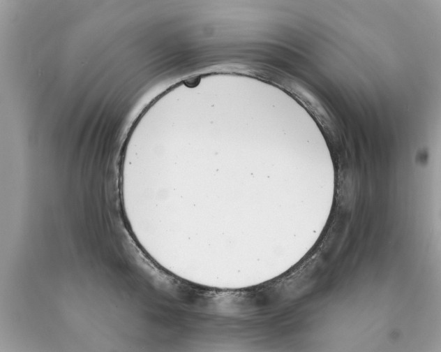 X0000089880808200707262208