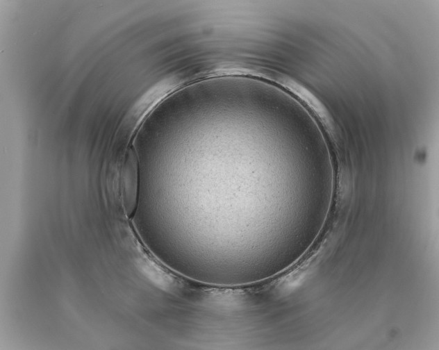 X0000089880809200707262208