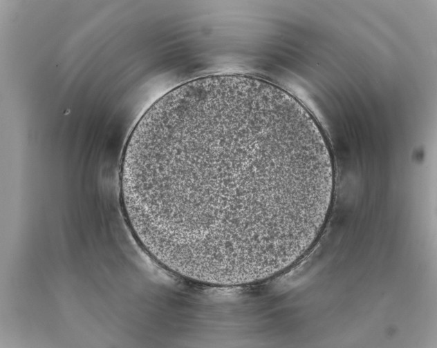 X0000089880810200707262208