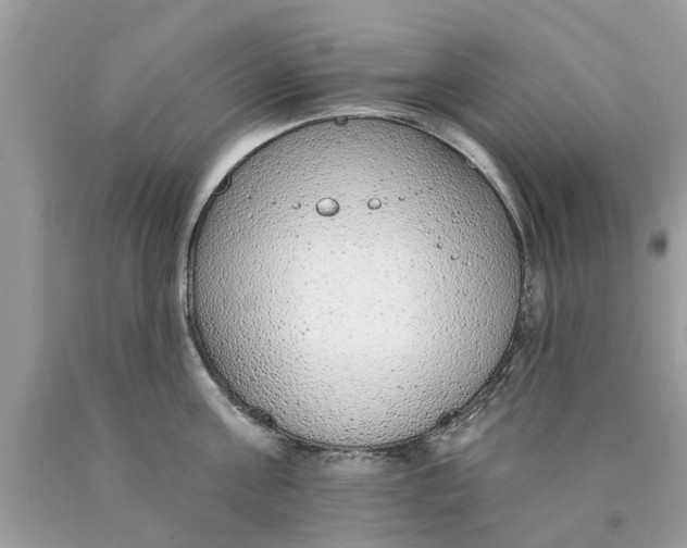 X0000089880811200707262208