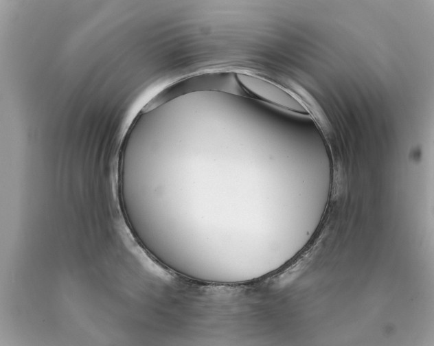 X0000089880812200707262208