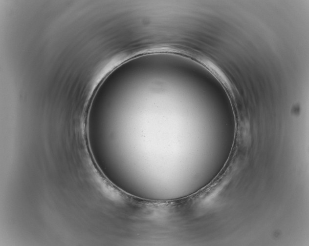 X0000089880813200707262208