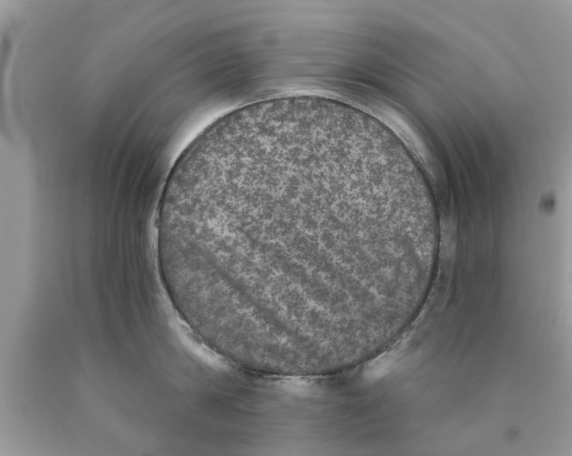 X0000089880814200707262208