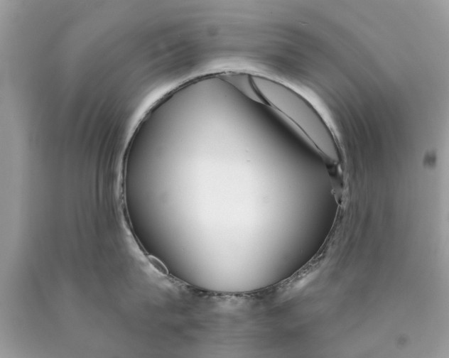 X0000089880815200707262208