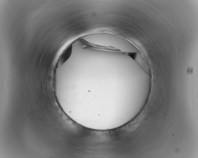 X0000089880816200707262208