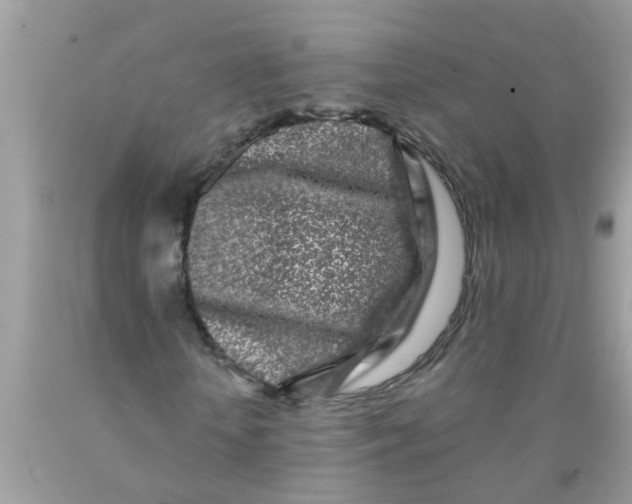 X0000089880818200707262208