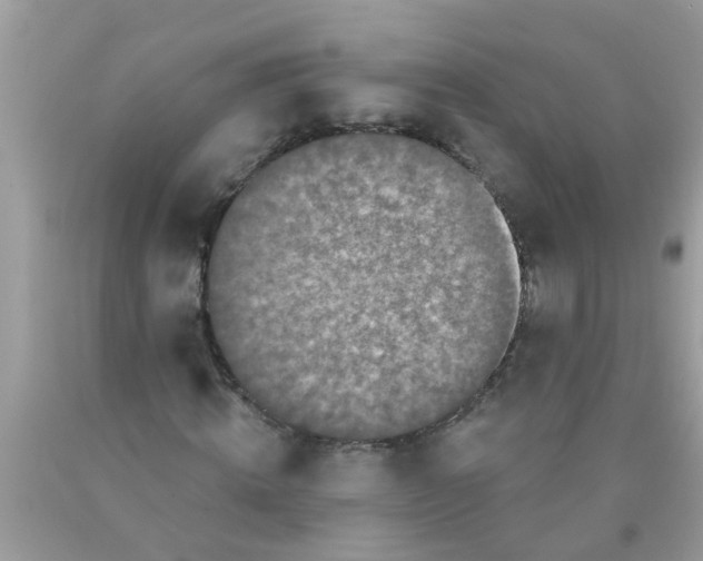 X0000089880820200707262208