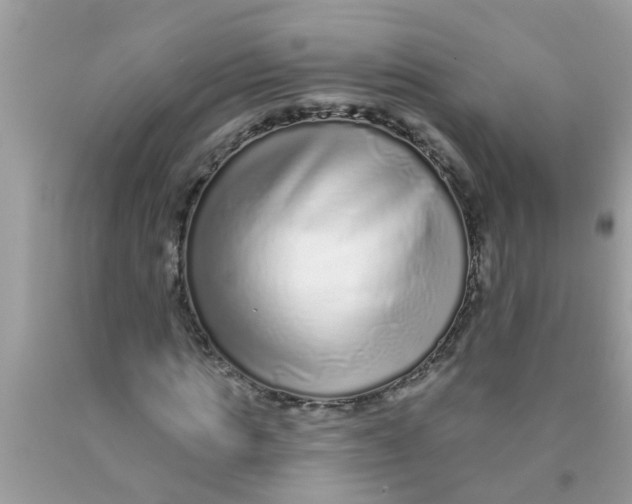 X0000089880821200707262208