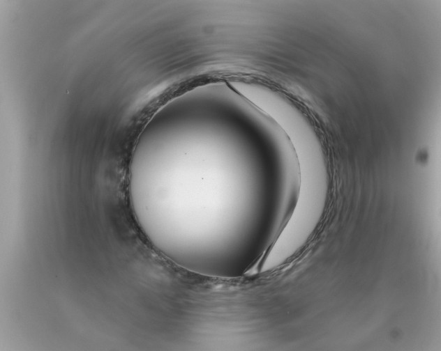 X0000089880822200707262208