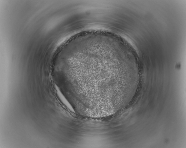 X0000089880823200707262208