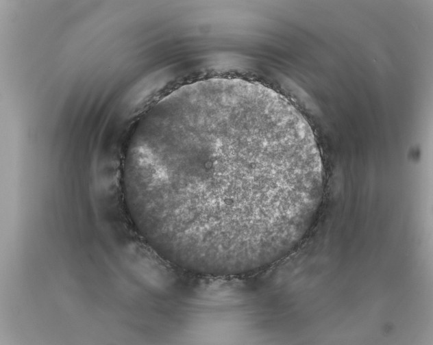 X0000089880824200707262208