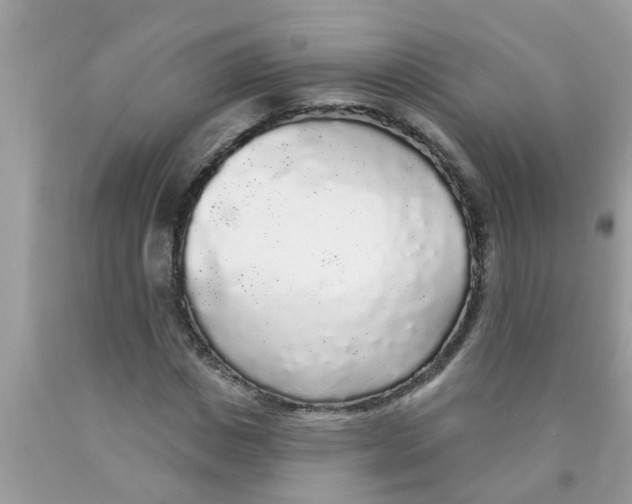 X0000089880825200707262208