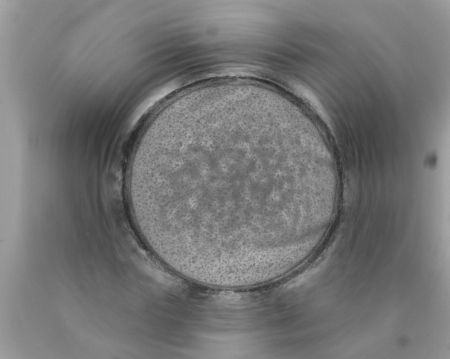 X0000089880827200707262208