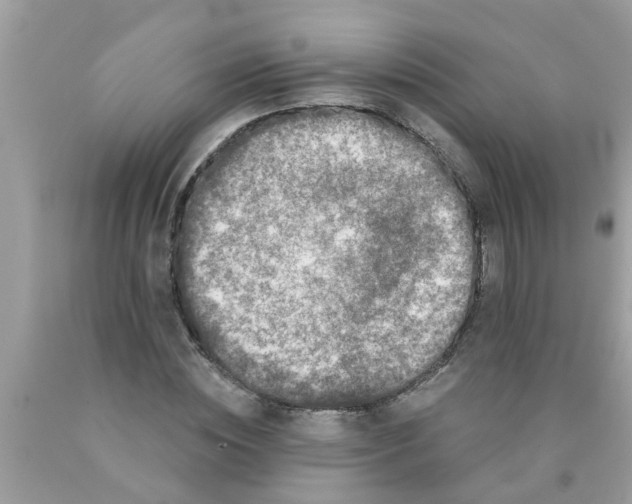 X0000089880828200707262208