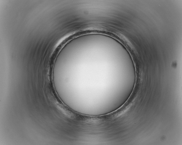 X0000089880830200707262208