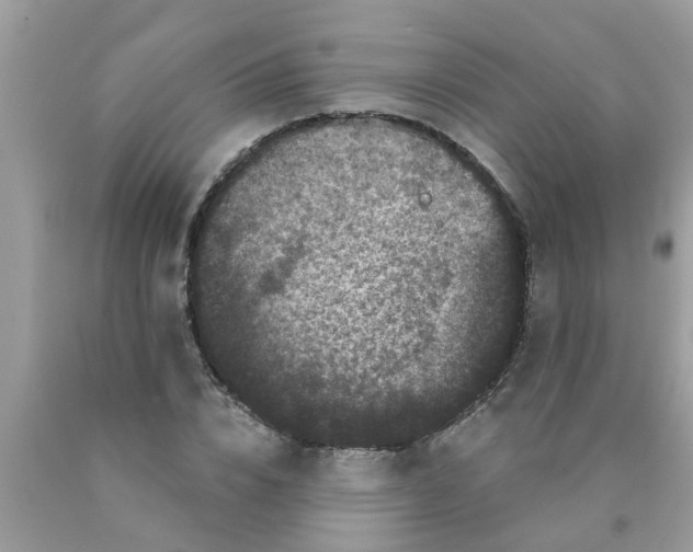 X0000089880832200707262208