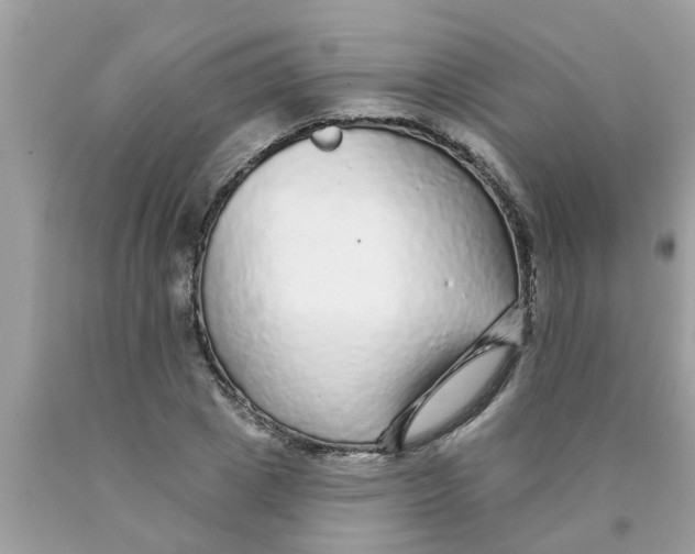 X0000089880833200707262208