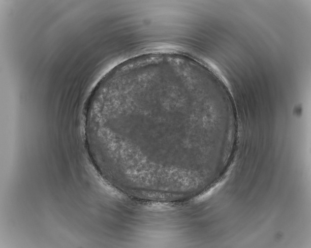 X0000089880835200707262208