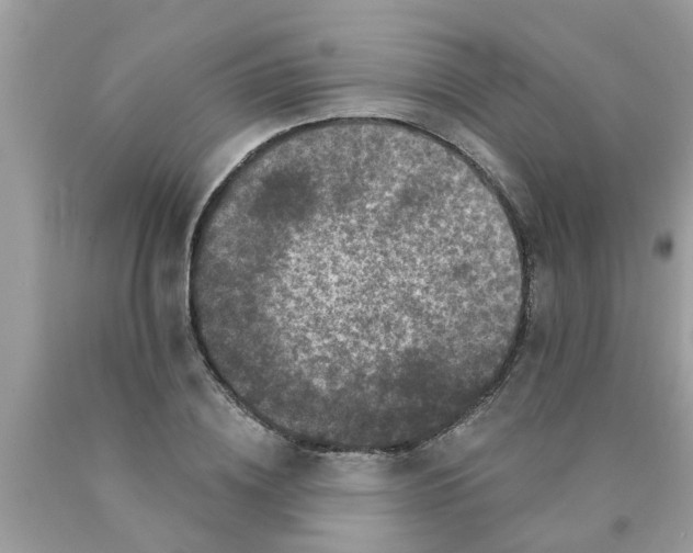 X0000089880836200707262208