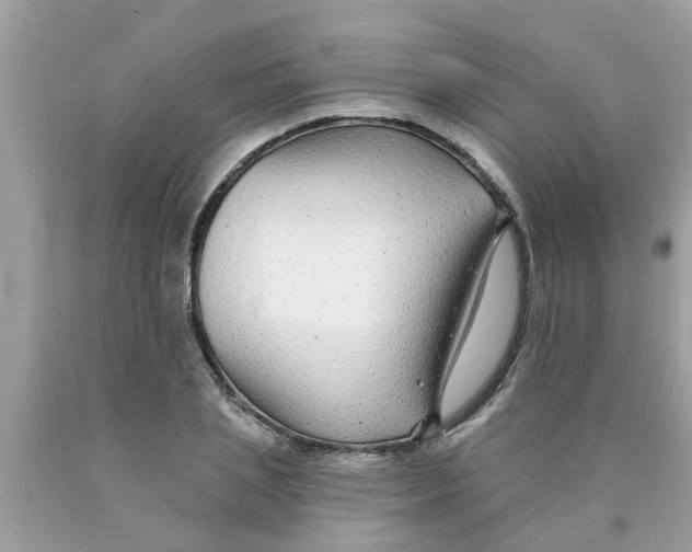 X0000089880837200707262208